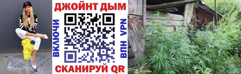 Купить наркотики сайты Шацк ГАШ  Codein  МЕФ  АМФЕТАМИН  Канабис  A PVP 