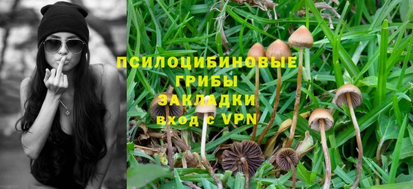 spice Балахна