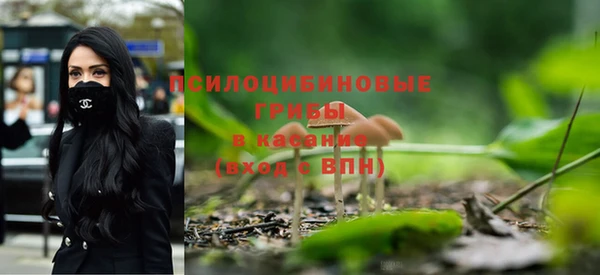 скорость Баксан
