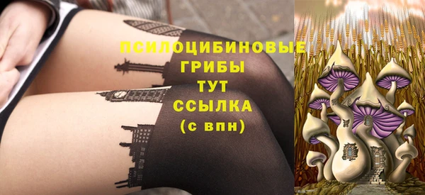 скорость Баксан